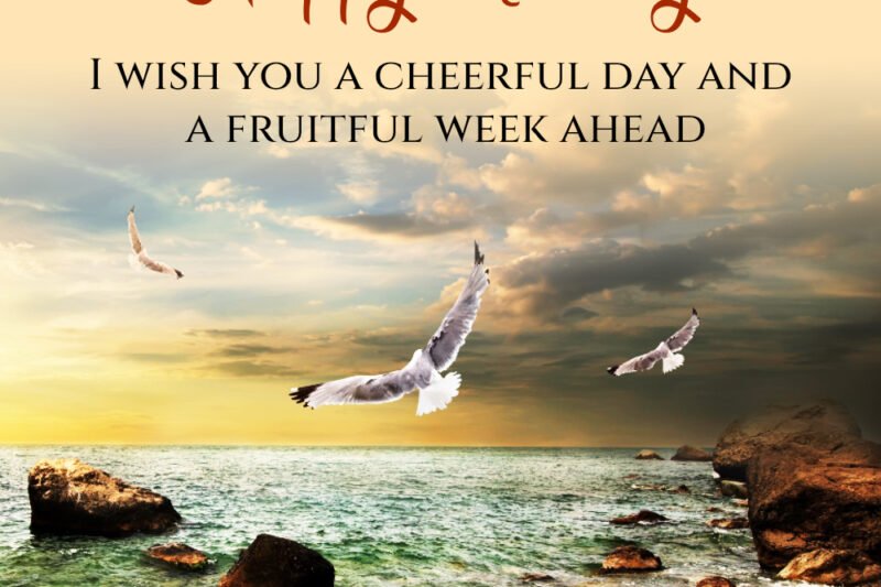 110+ Amazing Monday Morning Wishes, Images And Gifs
